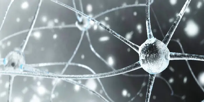 Deep Learning Neurons