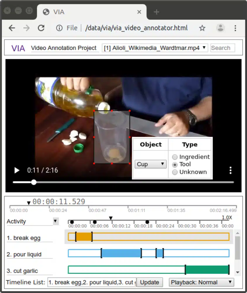 VIA Annotation Project Screenshot