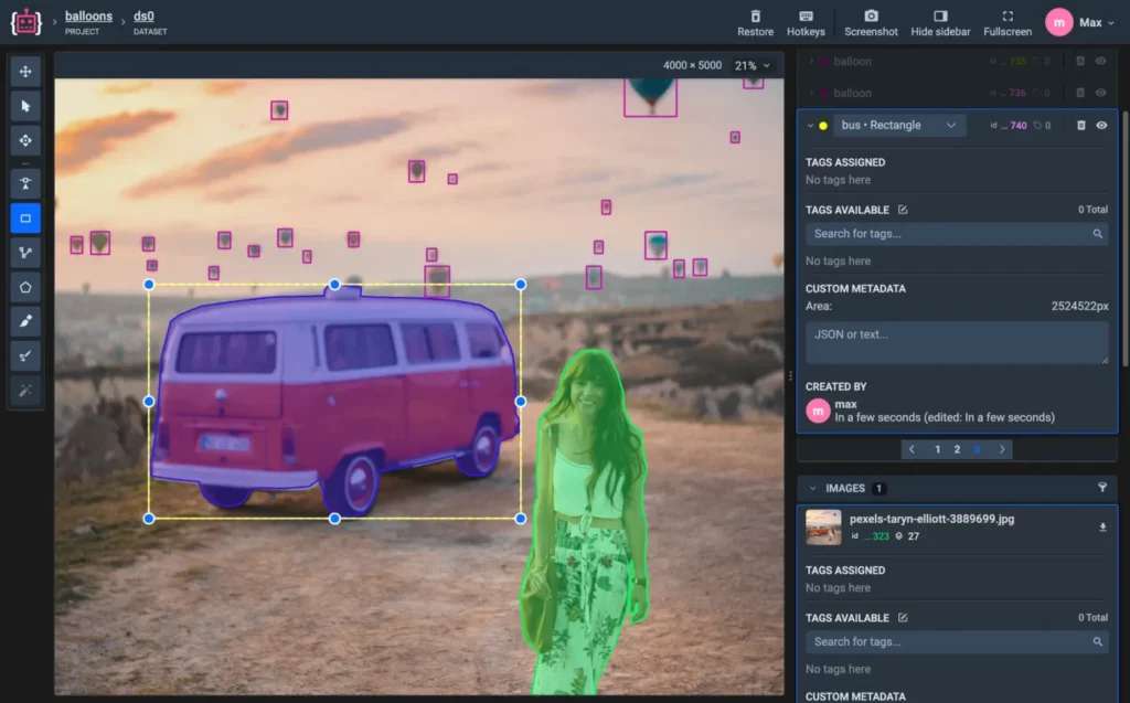 VIA annotation screenshot
